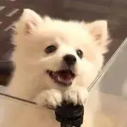 Rinaの画像