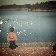 どすこい