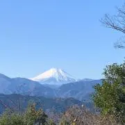 ちろるの画像