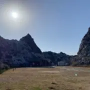 たこの画像