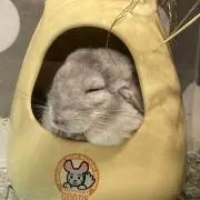 かときち ※プロフ必読