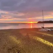 yuの画像