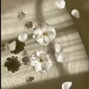 引越しの為断捨離中の画像