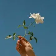 mokiの画像