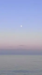 Sevenの画像