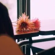 F.U