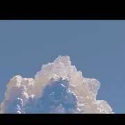 みんくの画像