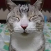 Masumasuの画像