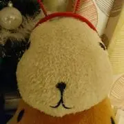 おまさん　プロフ必読☆