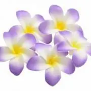 えりりん