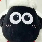 ショーンの画像
