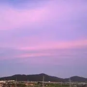 ぴのこ