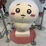 りんごの画像