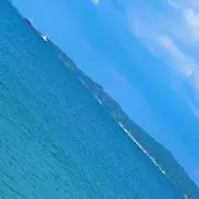 ジャスの画像