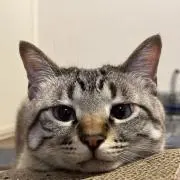 takaの画像