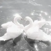 maaの画像