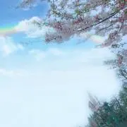 きゆ