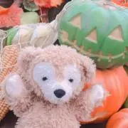 赤ずきん ⚠️プロフ必読⚠️の画像