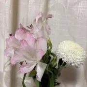 ゆゆの画像