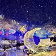 まの画像