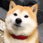 いちご珈琲の画像