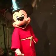 ナミの画像