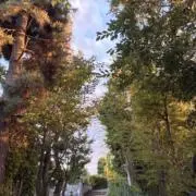 Rionの画像