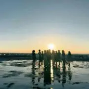 ぽんずの画像