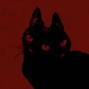 96