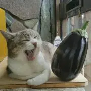くろまめ