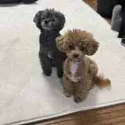 CHANEL♡の画像