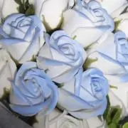 s0の画像