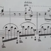ノクターンNo.8の画像