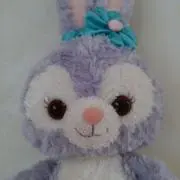 momoの画像