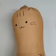 sakuの画像
