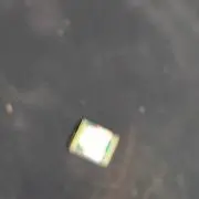 ゴスペニック•チャン