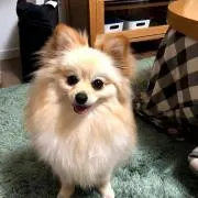 mizumizu=(^.^)=