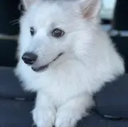 陽向