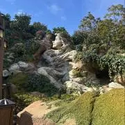 saraの画像