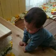 いろはの画像
