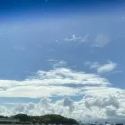 セレスの画像