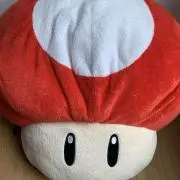 もっち [即日発送]の画像