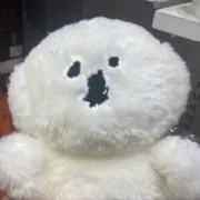 Eringiの画像