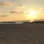 じーえむの画像