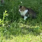 fannyの画像