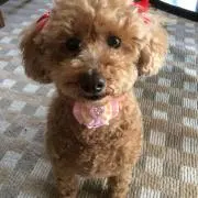 けいちゃん