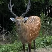 そらおさん【断捨離中】の画像