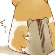 ぽんじり