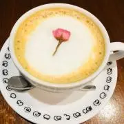 Yaaの画像