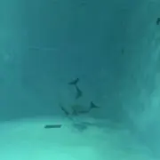 Unaの画像